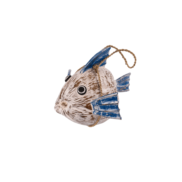 Poisson noix de coco - Littomer