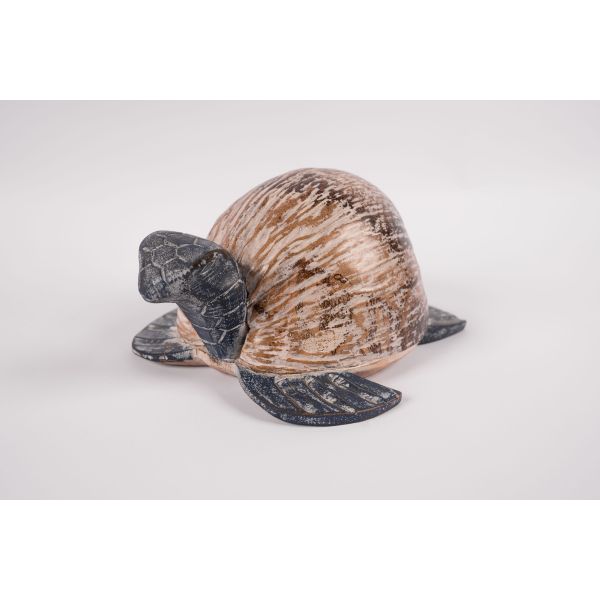 Tortue noix de coco - Escale Marine