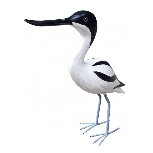Avocette Élégante