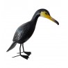 Cormoran