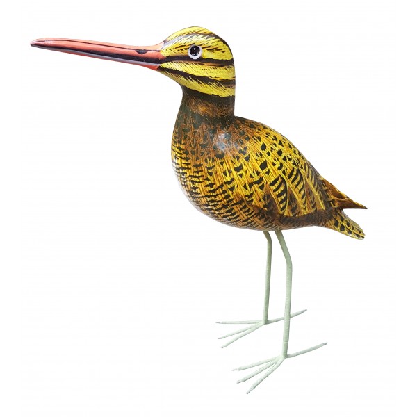 Bécassine des Marais