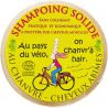Shampoing solide au chanvre*