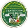 Shampoing solide aux orties